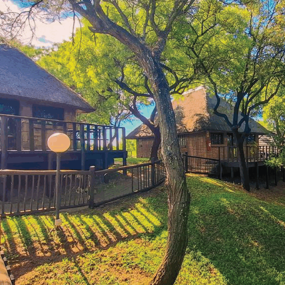 Home Sediba Kwele